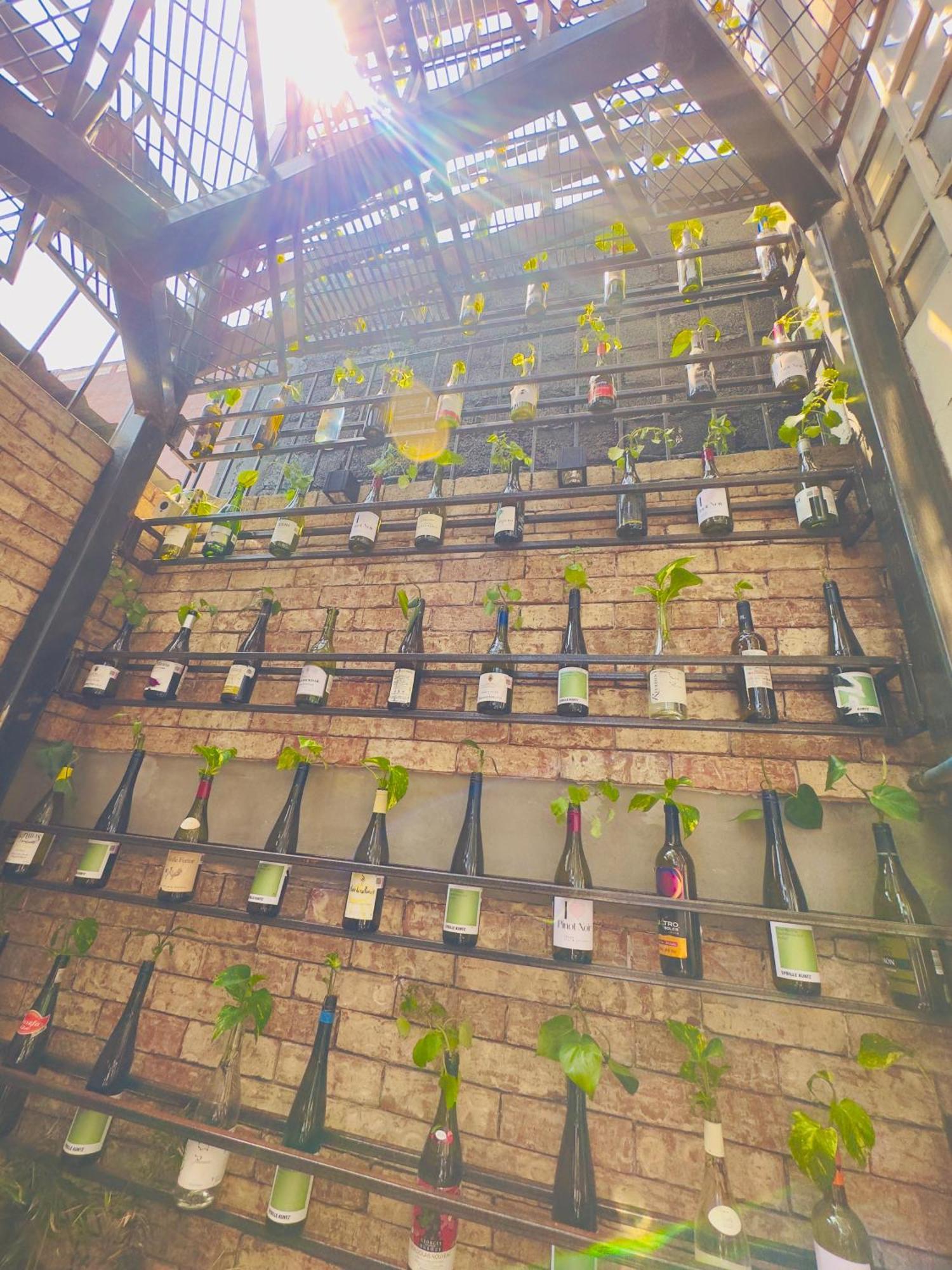 Del Lago Lofts مدينة مكسيكو المظهر الخارجي الصورة